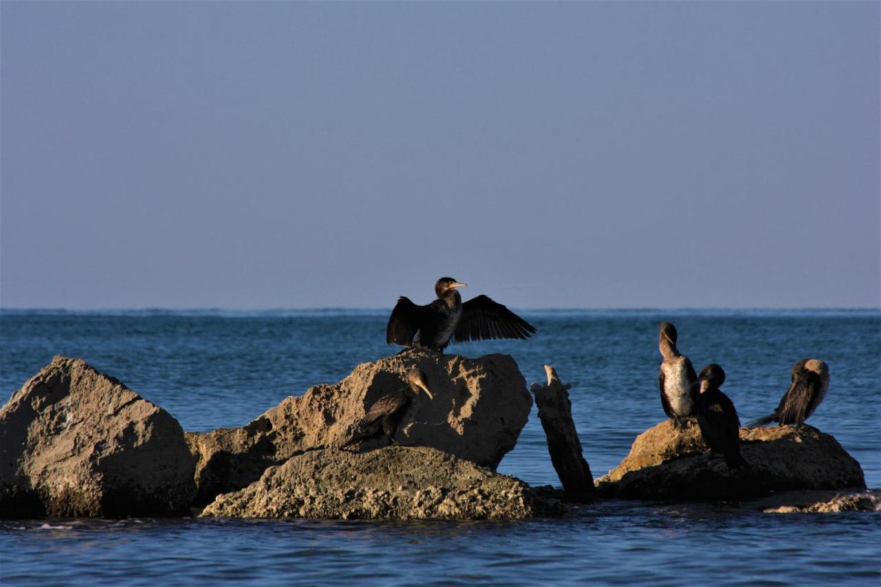 Aqua Boutique Hotel Castiglione della Pescaia Zewnętrze zdjęcie